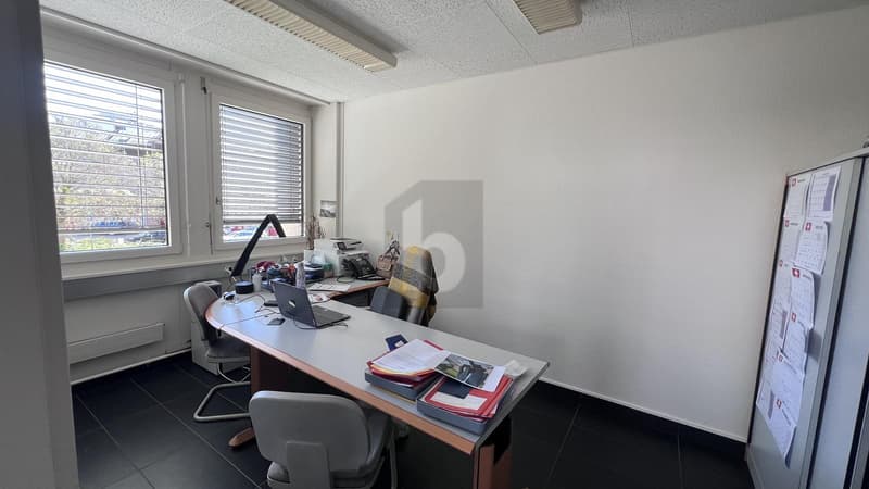 RENOWIERT, FUNKTIONELL & HELL (4)