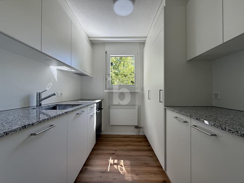 FRISCH RENOVIERT MIT GROSSEM BALKON (1)