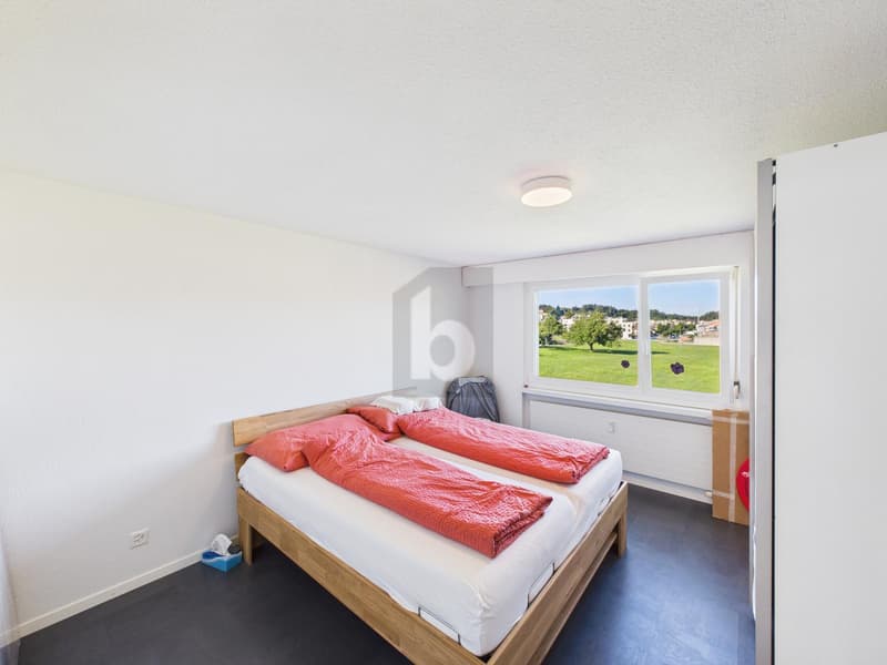 PREISHIT ! VUE PAYSAGÈRE / OU OBJET DE RENTE (4)