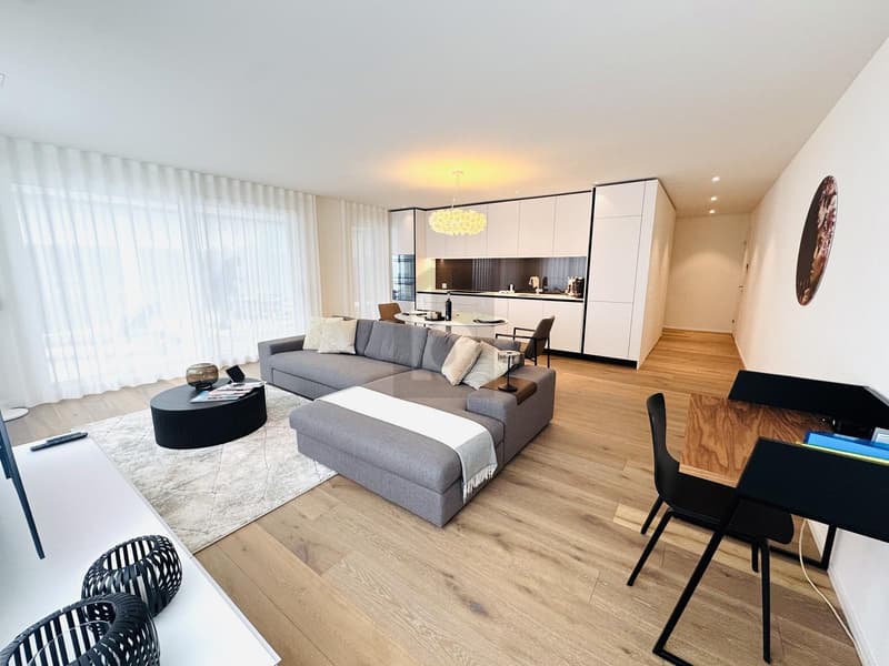 Exclusive living on the Bürgenstock (2)