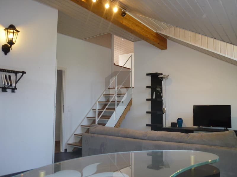 CHARMING FURNISHED DUPLEX (4)