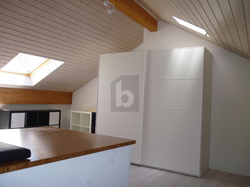 CHARMING FURNISHED DUPLEX (5)