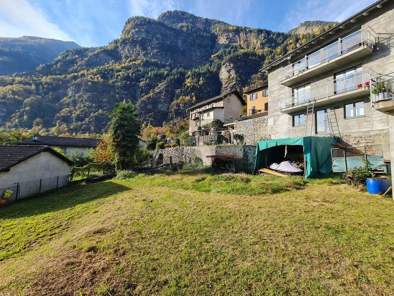 Spacious and welcoming (5)