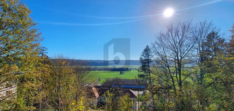 PRIX TOP, PIED À TERRE DANS LA VALLÉE DE LA SAGNE (2)