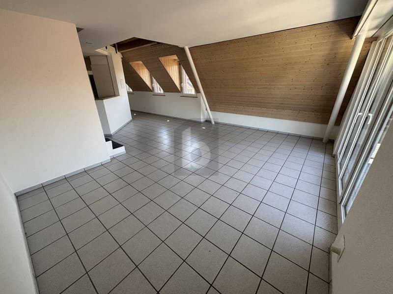 Habiter sur deux niveaux avec galerie et balcon (2)