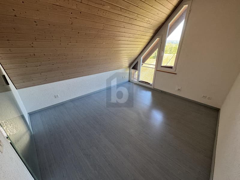 Habiter sur deux niveaux avec galerie et balcon (3)