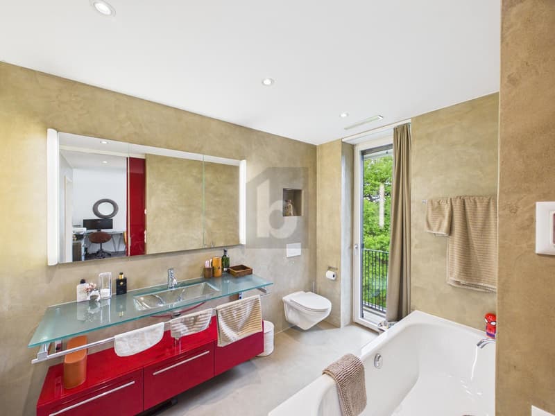Furnished, in an idyllic location on Rotsee (3)