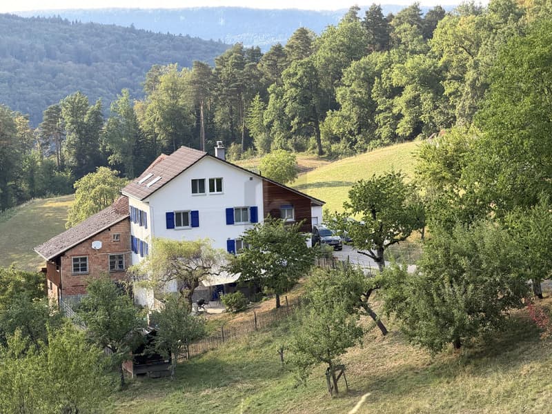 À la fois naturel et moderne avec une vue lointaine (1)