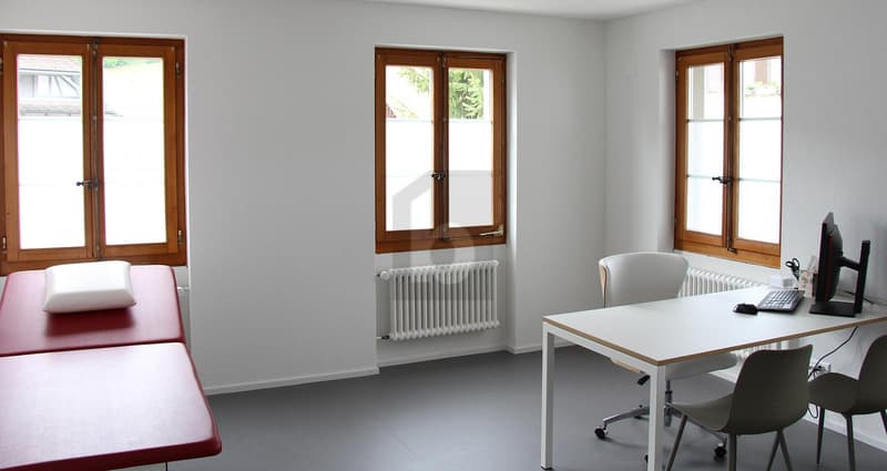 PRATIQUE CENTRALE AVEC CHARME (5)