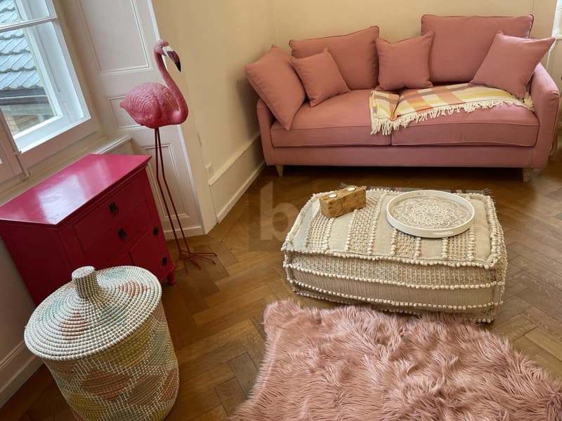 TRÈS JOLIE CHAMBRE MEUBLÉE DE 25M2 (2)