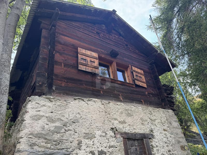 PANORAMABLICKE BIS ZU 4 MAYENS (2)