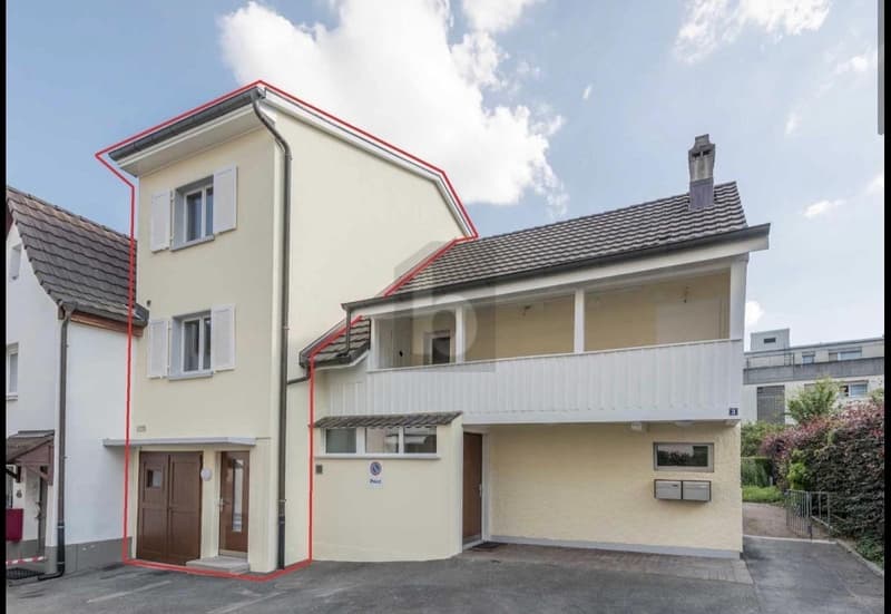 Elegantly renovated on two floors (1)