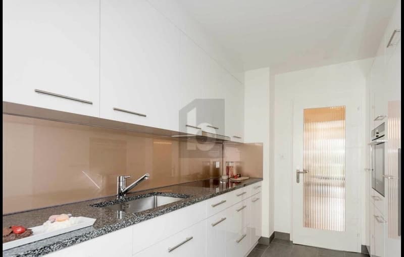 Elegantly renovated on two floors (2)