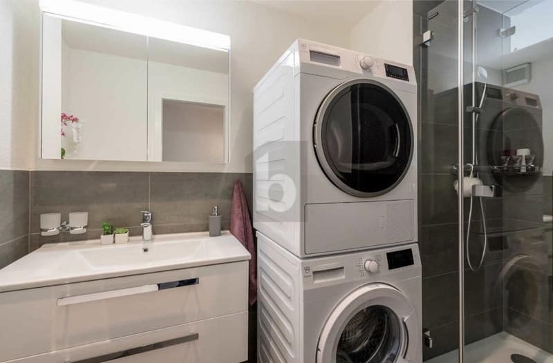 Elegantly renovated on two floors (4)