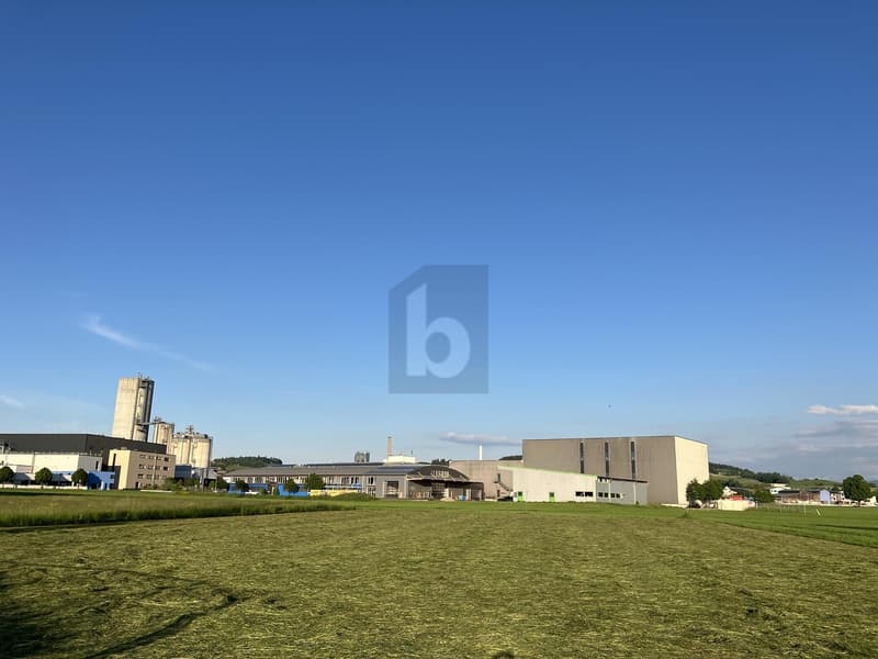 Nuova Costruzione Spazio Commerciale Flessibile (3)