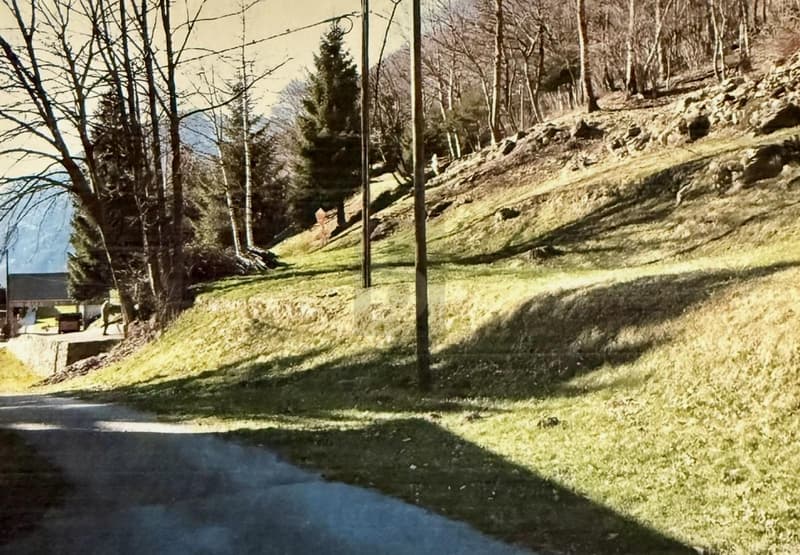 Sonnig und ruhig (1)