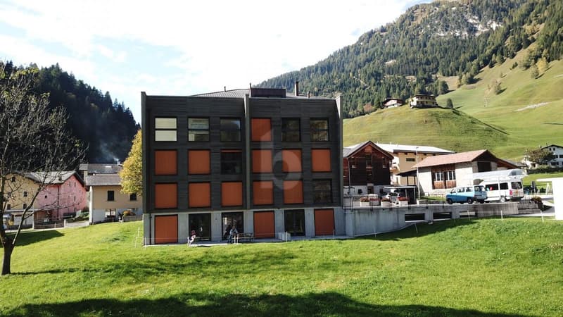 Modern and bright with garden (1)