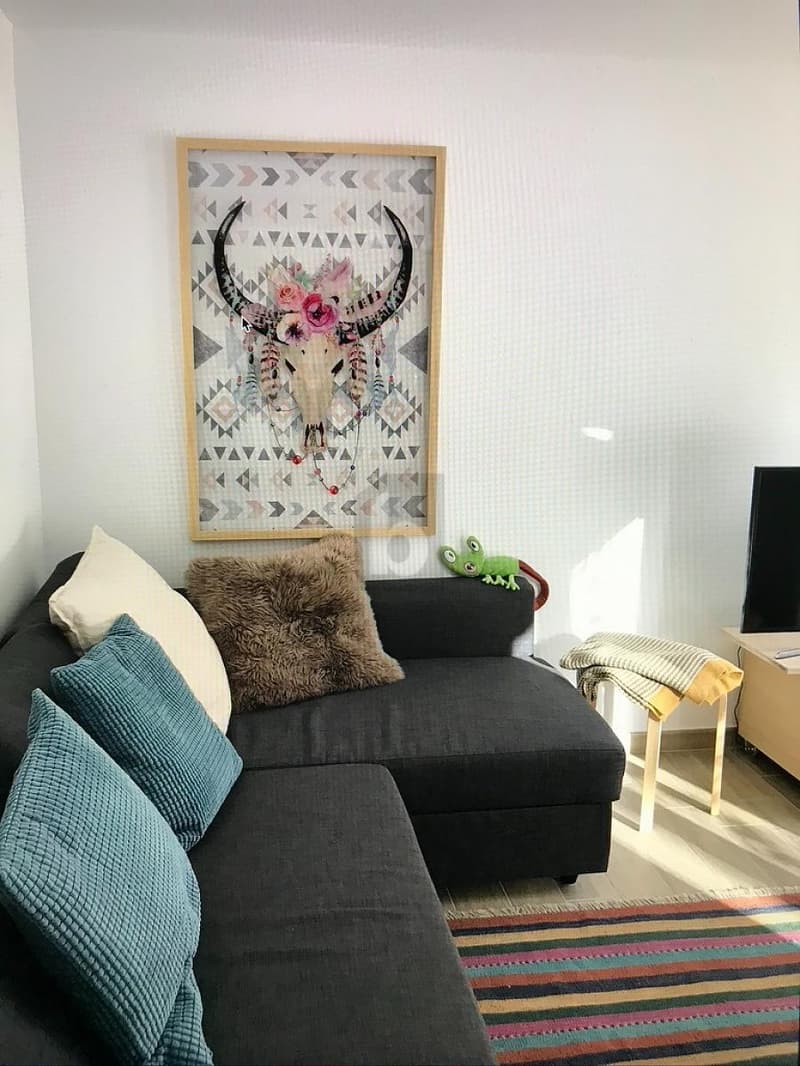 Modern and bright with garden (4)