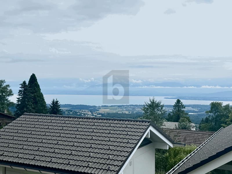SPACIEUSE VILLA AU CALME ET VUE LAC (3)