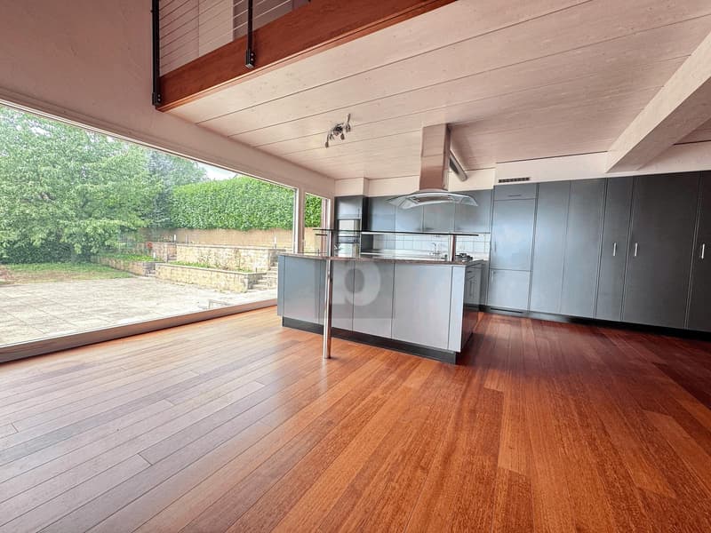 SPACIEUSE VILLA AU CALME ET VUE LAC (2)