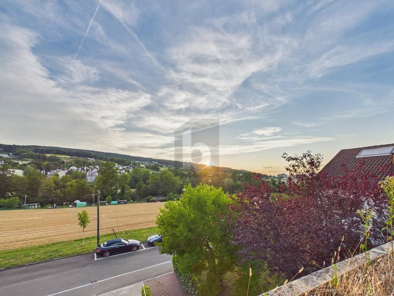 Rénovation haut de gamme, avec vue sur le vert, beaucoup d'espace (5)