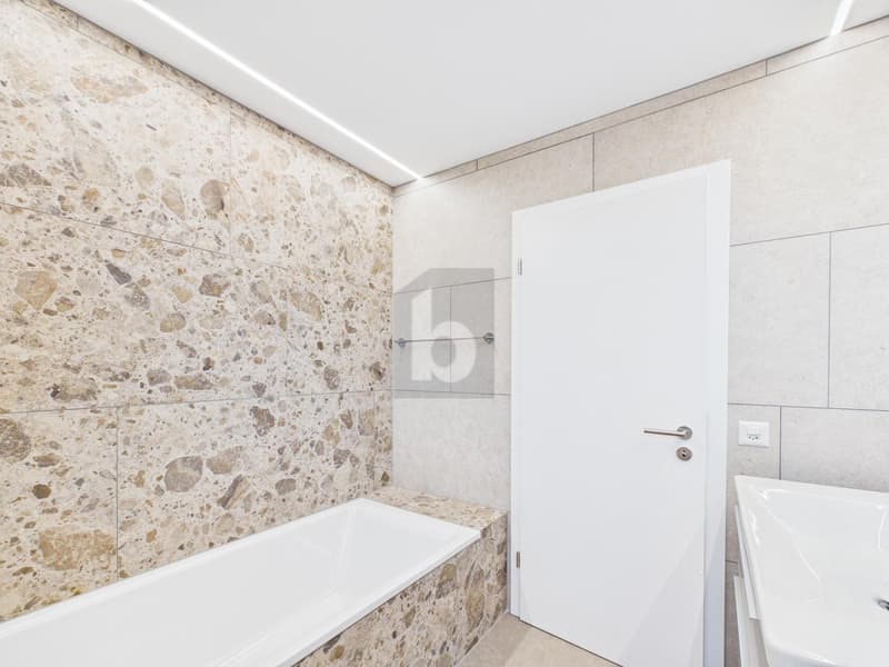 Rénovation haut de gamme, avec vue sur le vert, beaucoup d'espace (4)
