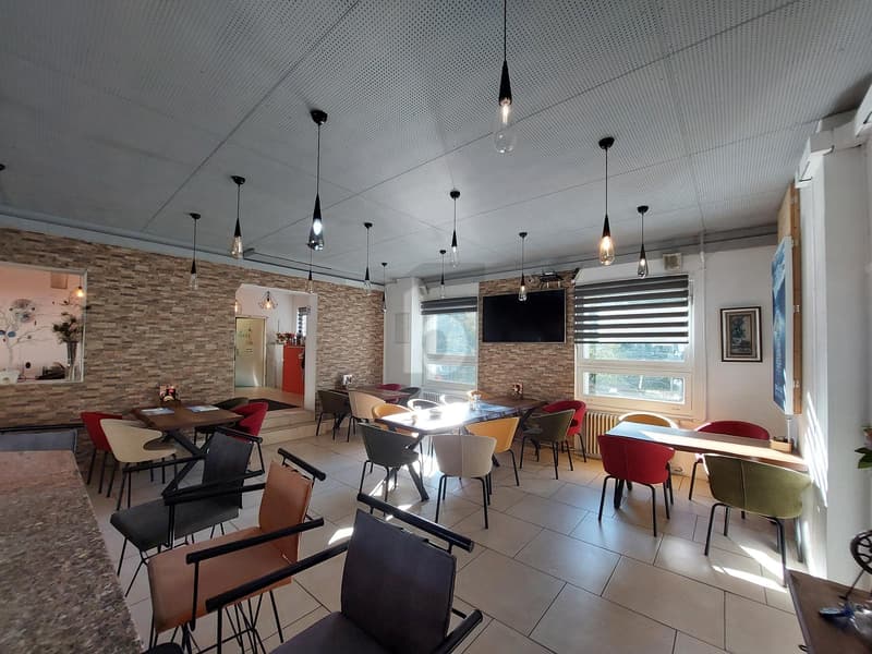 Élégamment rénové avec terrasse en plein centre-ville ! (4)