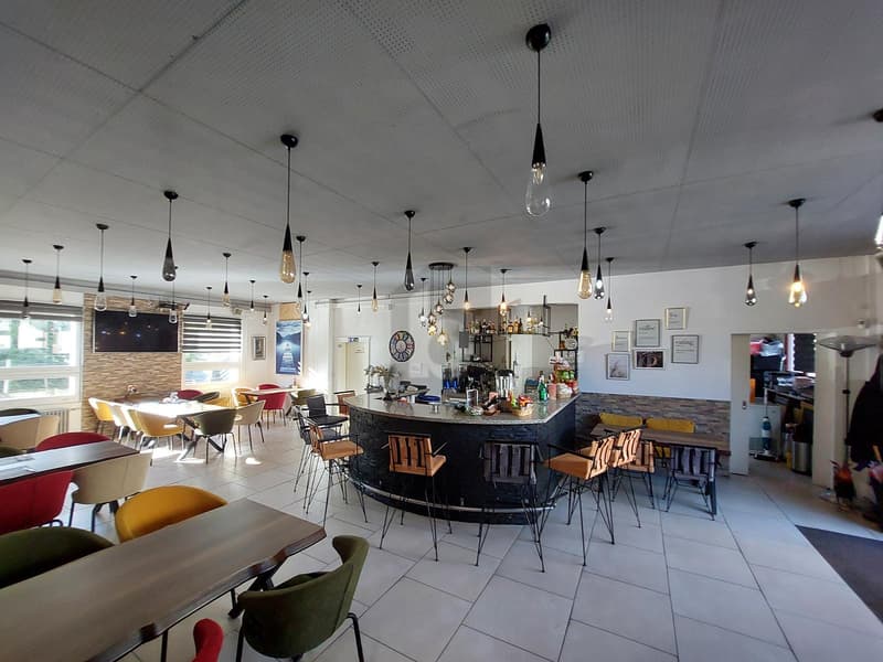 Élégamment rénové avec terrasse en plein centre-ville ! (3)