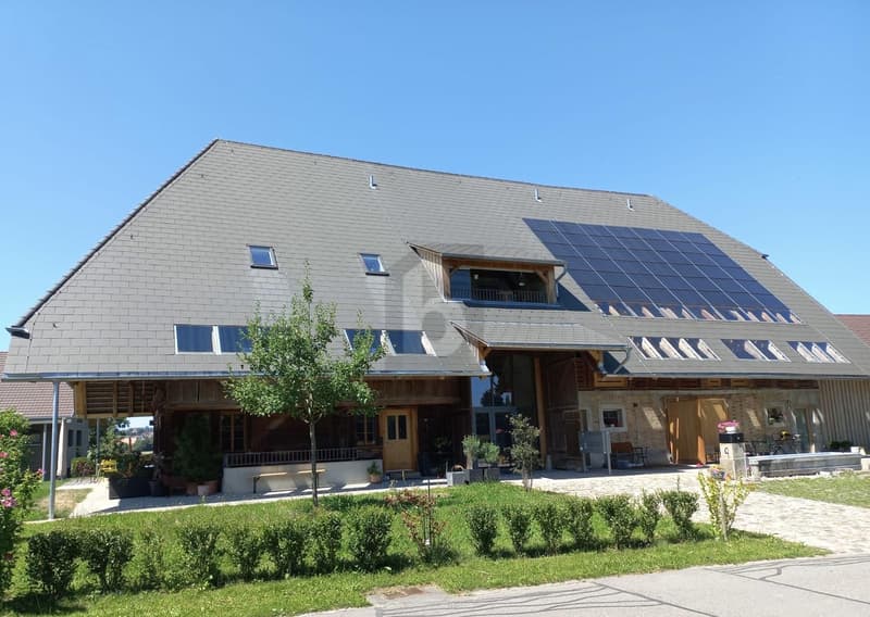GROSSZÜGIG, HELL UND STILVOLL MIT GALERIE (1)
