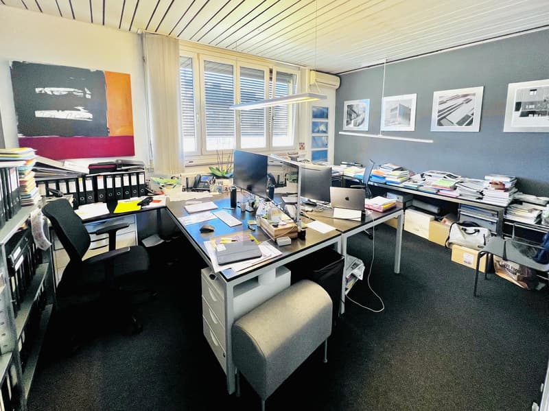 GENEREUX ESPACE RÉNOVÉ PLEIN DE CARACTÈRE (3)