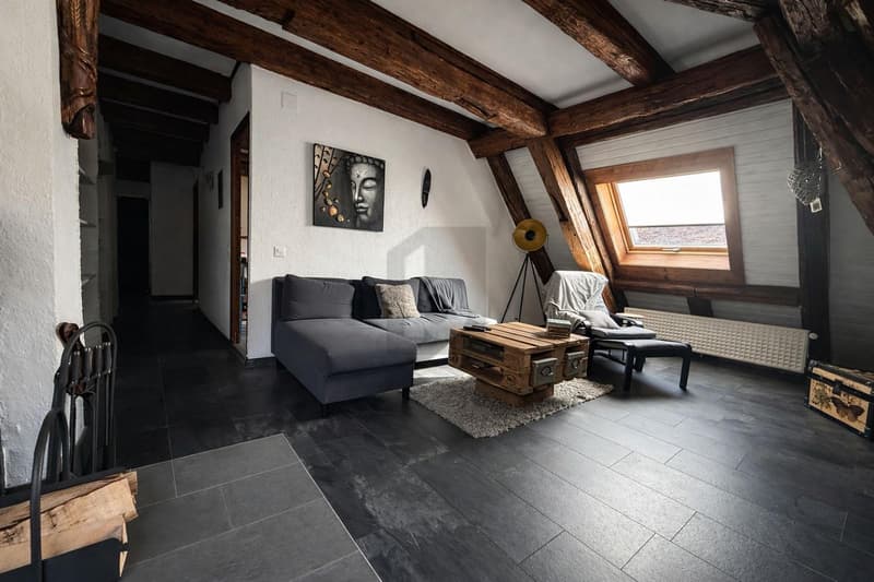 DUPLEX DEXCEPTION - CHARME ET ESPACE (3)