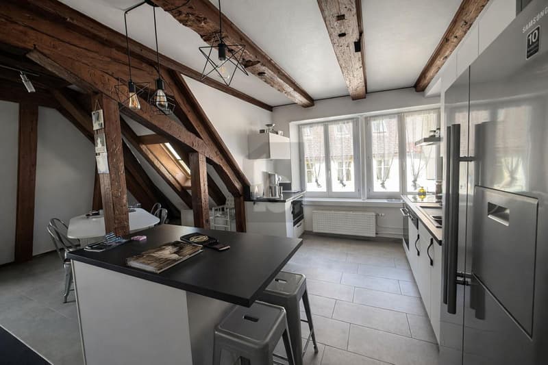 DUPLEX DEXCEPTION - CHARME ET ESPACE (2)