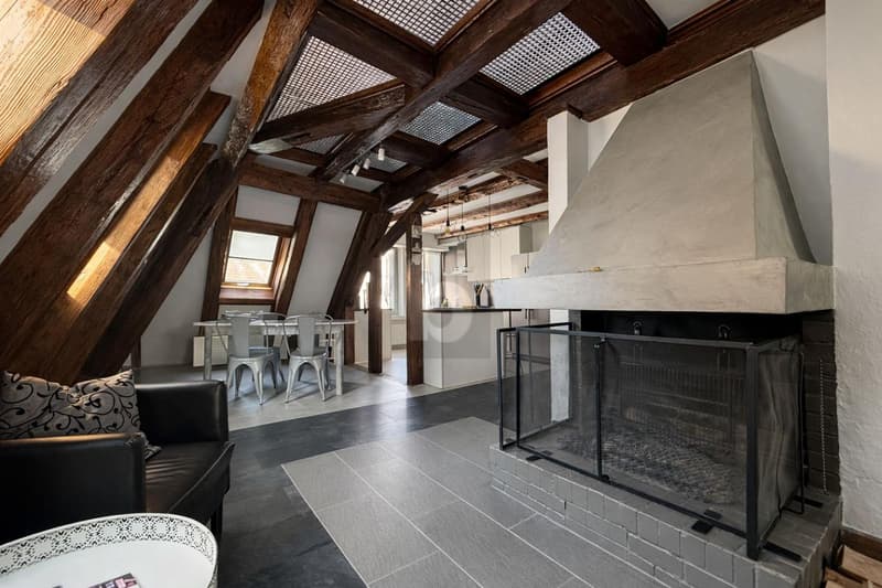DUPLEX DEXCEPTION - CHARME ET ESPACE (4)