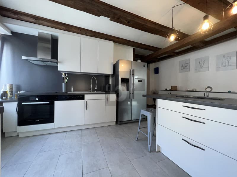 DUPLEX DEXCEPTION - CHARME ET ESPACE (1)