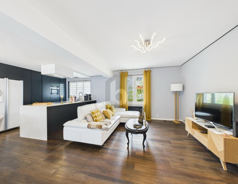 BELLE VILLA RÉNOVÉE AVEC 3 APPARTEMENTS ET JARDIN (1)