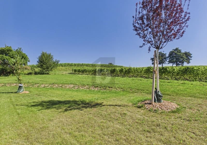 RÉNOVÉE AVEC JARDIN, AU CALME DANS LE VIGNOBLE (1)