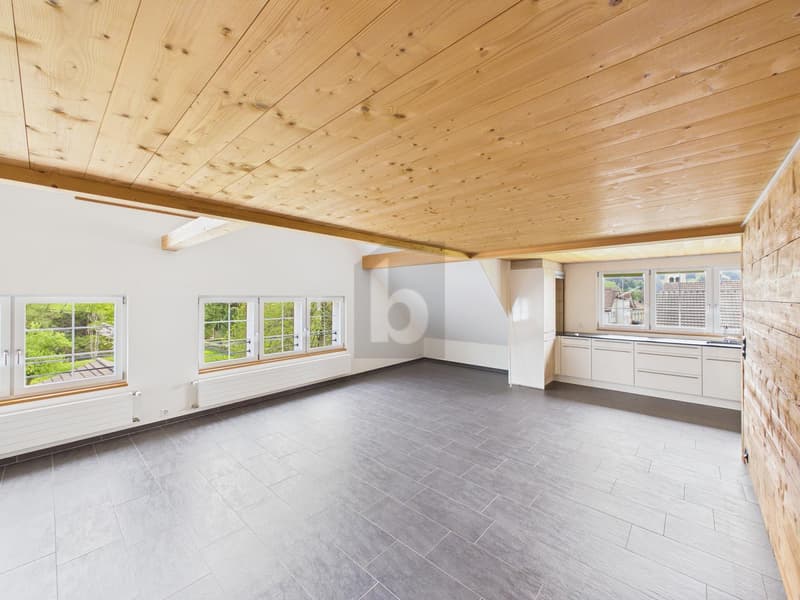 UNIKAT! APPENZELLERHAUS TRIFFT AUF MODERNE (1)