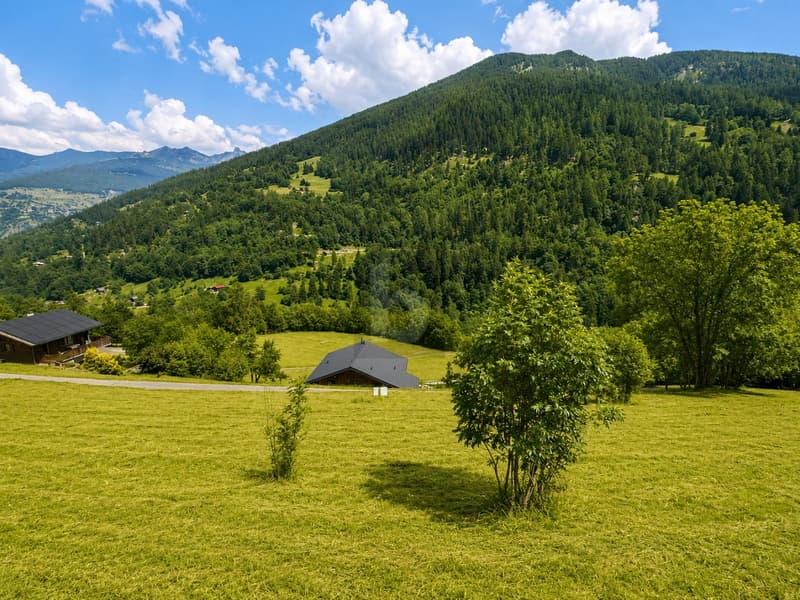 MAGNIFIQUE TERRAIN DANS UN CADRE NATUREL (4)