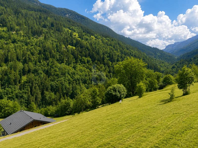 MAGNIFIQUE TERRAIN DANS UN CADRE NATUREL (3)