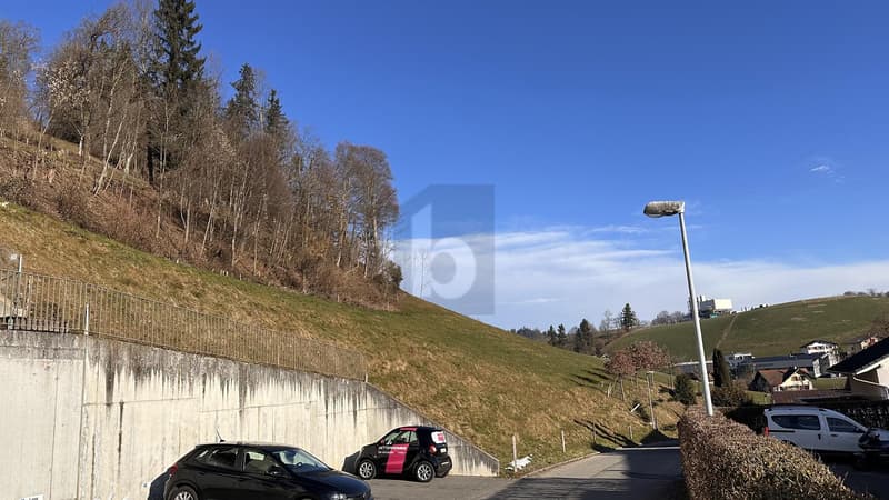 NEUE HAUSHÄLFTE MIT MITGESTALTUNGSMÖGLICHKEIT (2)