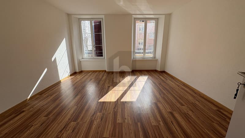 RÉCEMMENT RÉNOVÉ, LUMINEUX & SPACIEUX (3)