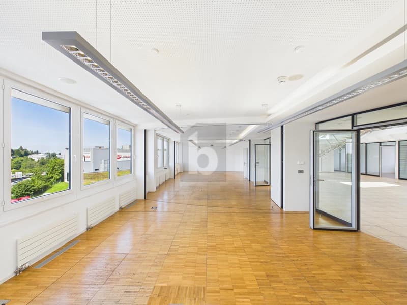 RIESIGE PRODUKTIONSHALLE IDEAL FÜR IHR BUSINESS (3)