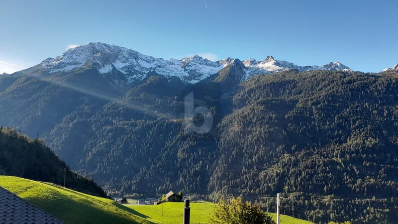 SPAZIOSA E SOLEGGIATA IN POSIZIONE TRANQUILLA (2)