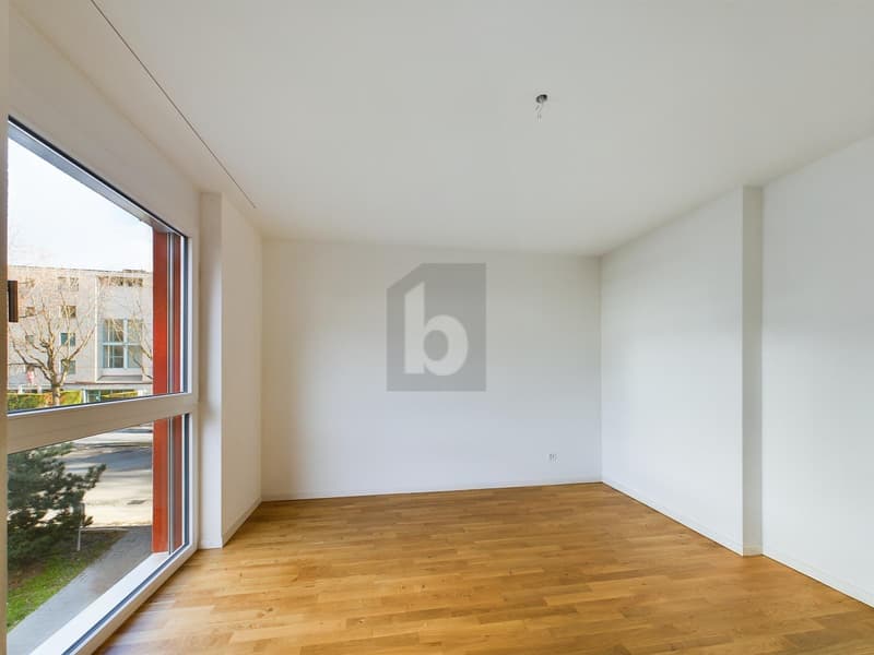 BEAUCOUP D'ESPACE ET DE CONFORT (4)