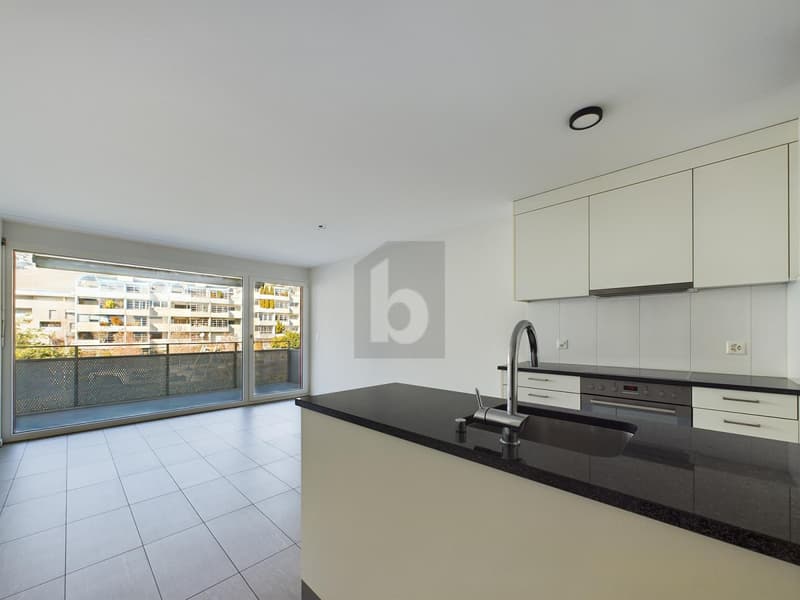 UN LOGEMENT MODERNE DANS UN QUARTIER CALME (4)