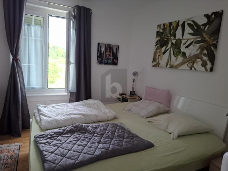 ESPACE ET VERDURE (5)
