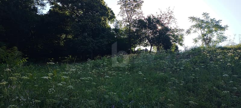TERRENO EDIFICABILE CON VISTA APERTA (4)