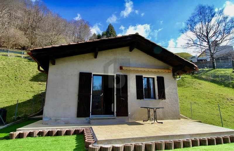 PACE E VISTA SULLA VALLE (1)