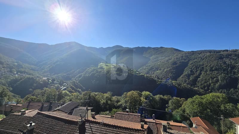 SOLEGGIATA CON GIARDINO (3)
