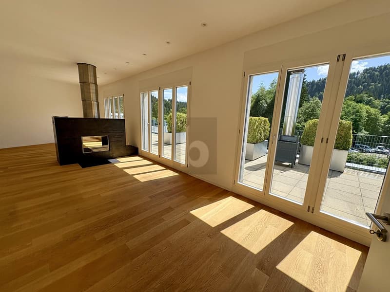 GROSSZÜGIG MIT TERRASSE UND SAUNA (2)